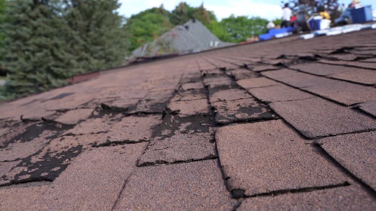  Lamar, MO Roofing Service Pros