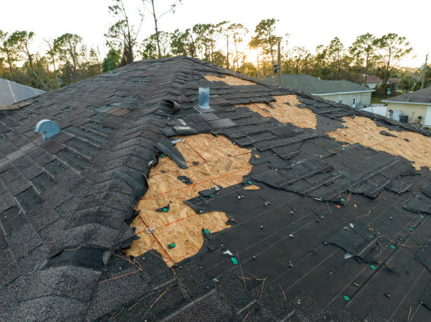 Best Sheet Metal Roofing  in Lamar, MO