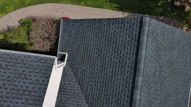 Best Sheet Metal Roofing  in Lamar, MO