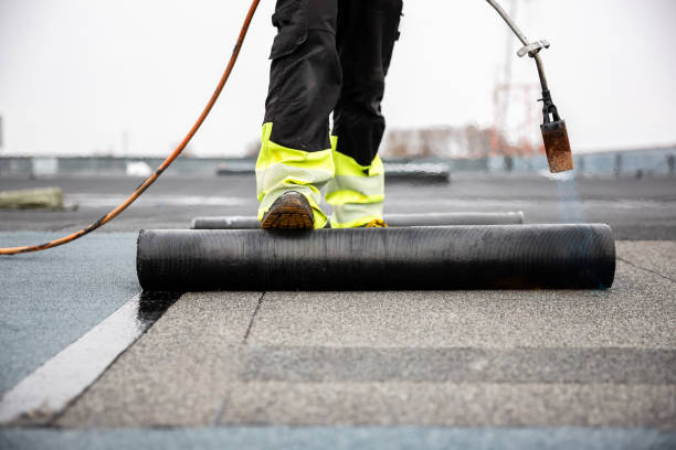 Best Roof Coating and Sealing  in Lamar, MO